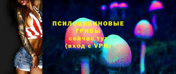 Альфа ПВП Алексин